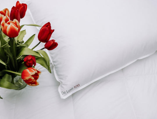 Daunen Kopfkissen Extraweich "De Luxe 100"