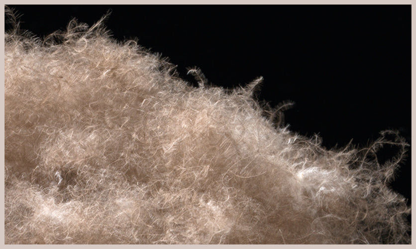 Ganzjahres Eiderdaunen-Bettdecke mit Seide"Queen Silk"