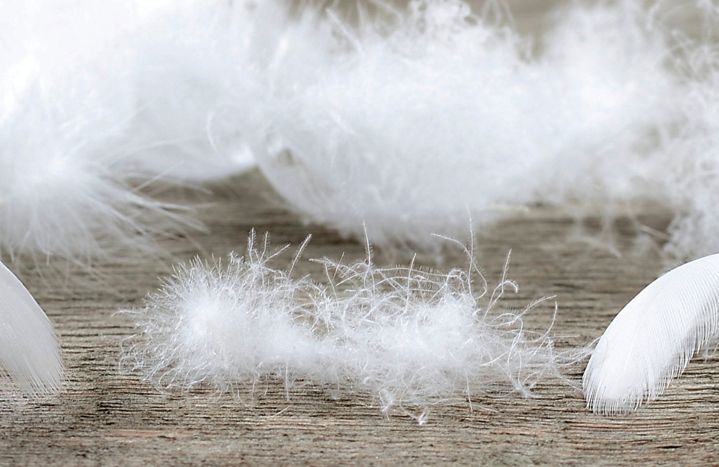 Daunenbettdecke Warm "Luzern"