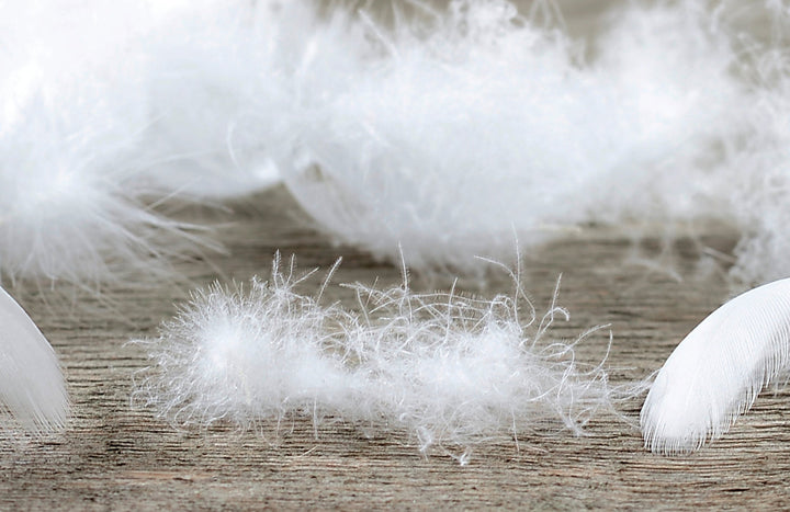 Daunenkopfkissen "Neuenburg"