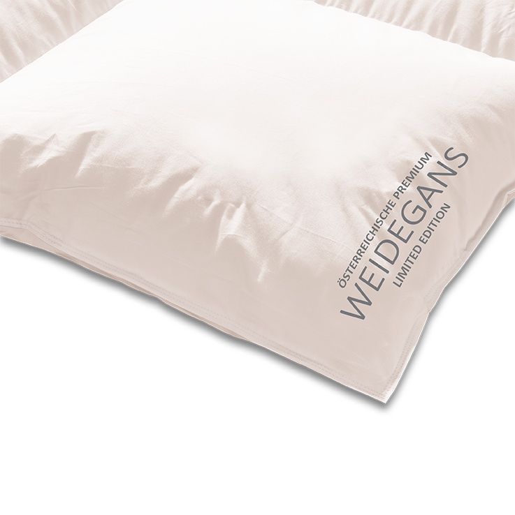 Daunen Bettdecke "Österreichische Weidegans", Medium