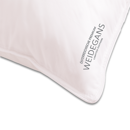 3 Chamber Down Pillow "Austrian Pasture Goose"