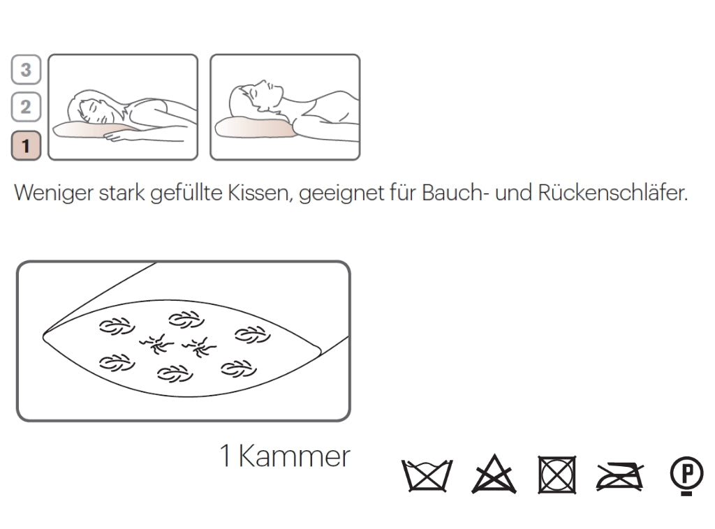 Kopfkissen Eiderdaunen/Seide "Earl"